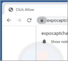 Expocaptcha.top Ads