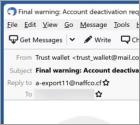 Validate Your Wallet Email Scam