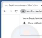Bestdiscoveries.co Redirect