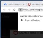 Authenticpcnetwork.com Ads