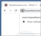 Topwebanswers.com Redirect