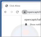 Opencaptchahere.top Ads
