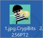 CrypBits256 Ransomware