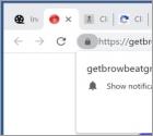 Getbrowbeatgroup.com Ads
