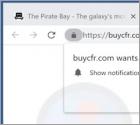 Buycfr.com Ads