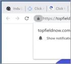 Topfieldnow.com Ads