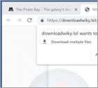 Downloadwiky.lol Ads