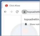 Topsadrettin.com Ads