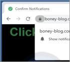 Boney-blog.com Ads