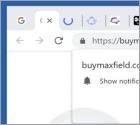 Buymaxfield.com Ads