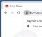 Buynads.com Ads