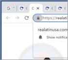 Realatinusa.com Ads