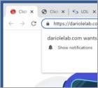 Dariolelab.com Ads