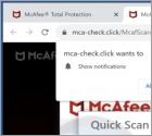 Mca-check.click Ads