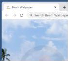 Beach Wallpaper Browser Hijacker