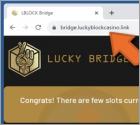 Lucky Bridge BSC To ETH LBLOCK Scam