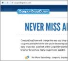 CouponDropDown Adware