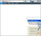 VisualBee Toolbar (Delta Search Redirect)