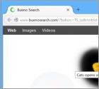 BuenoSearch.com Virus
