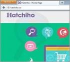 Hatchiho Ads