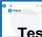 Tesla Browser Unwanted Application