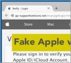 The Line between Legit Websites and Phishing Scams Grows Thinner