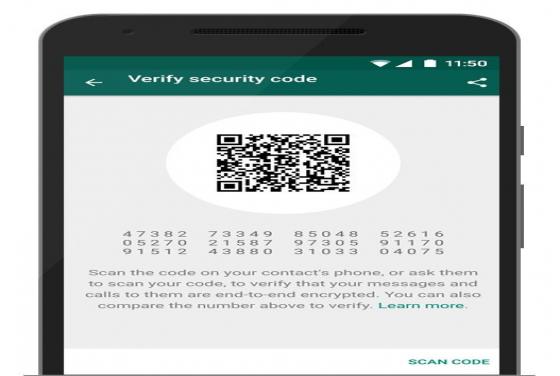 Whatsapp Encryption Explained