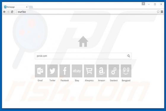 Esurf.biz Redirect
