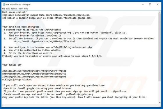 N1n1n1 Ransomware