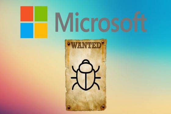 Microsoft Bounty Bug Program