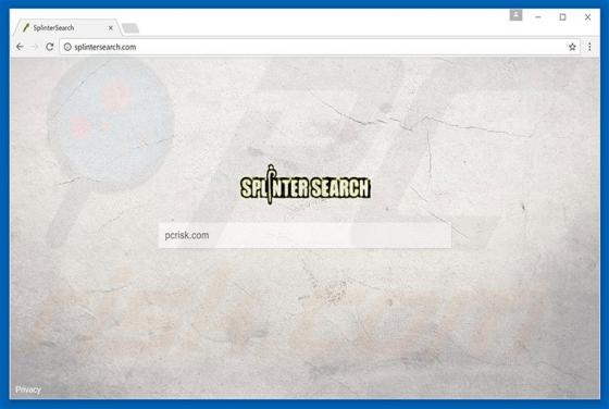 Splintersearch.com Redirect