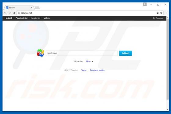 Scoutee.net Redirect