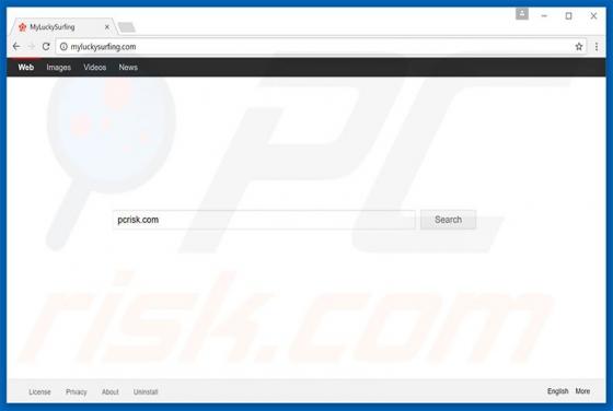 Myluckysurfing.com Redirect