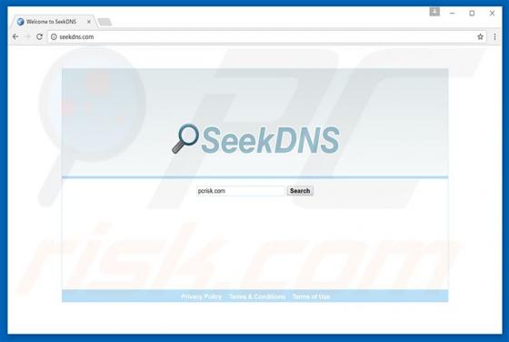 Seekdns.com Redirect