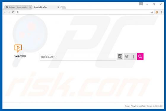 Searchy.club Redirect
