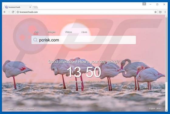 Lovesearchweb.com Redirect