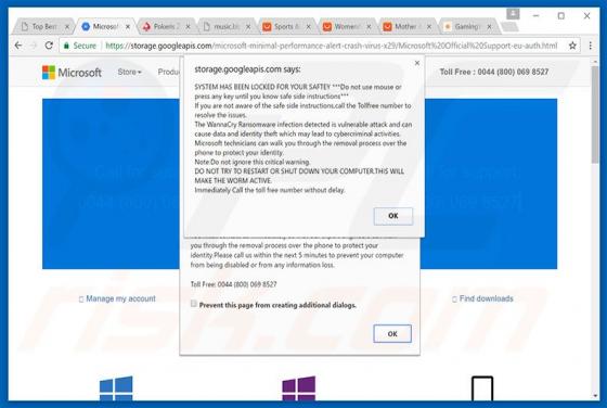 System Has Been Locked For Your Safety Scam