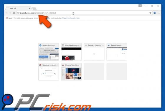 Bigpicturepop.com Redirect