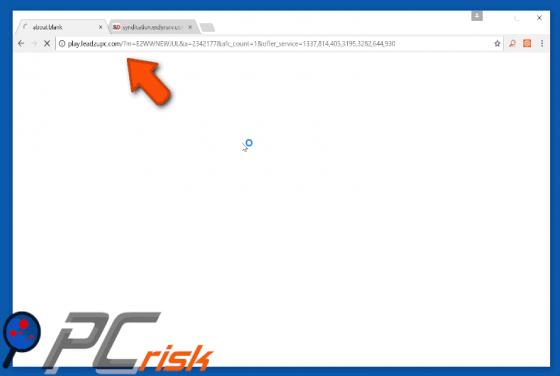 Leadzupc.com Redirect