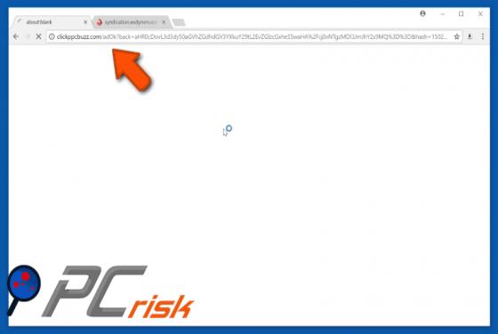 Clickppcbuzz.com Redirect