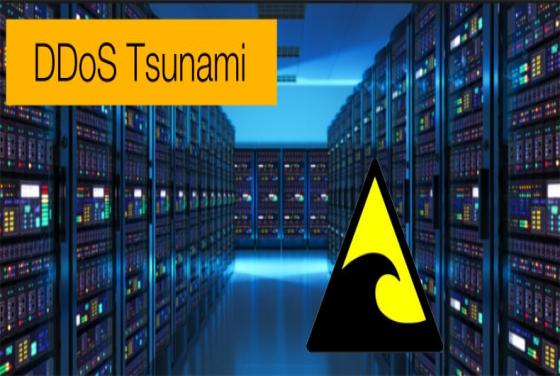 DDoS Tsunami