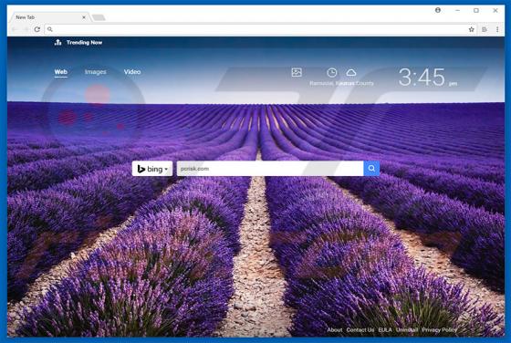 Search.search-settings.com Redirect