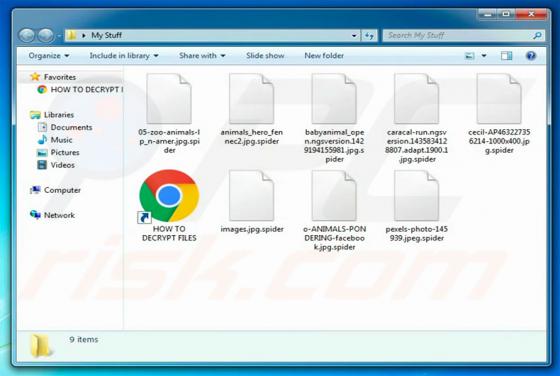 File Spider Ransomware