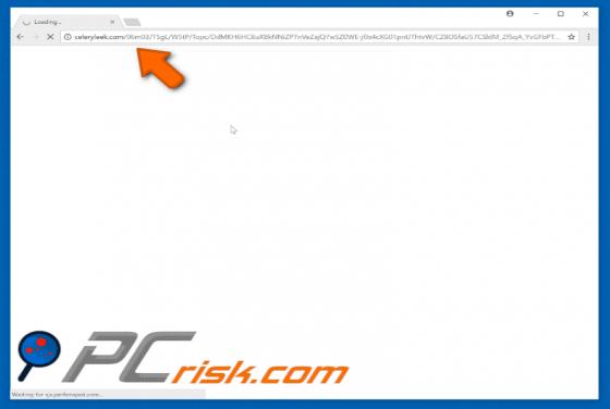 Celeryleek.com Redirect