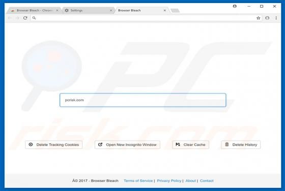 Browserbleach.com Redirect
