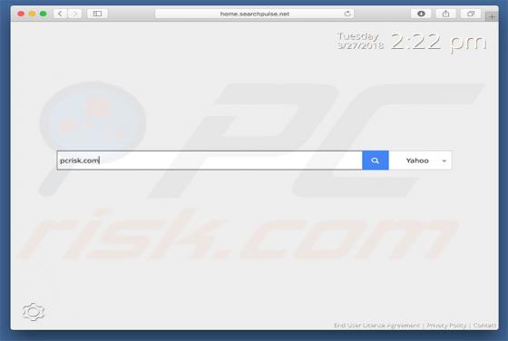 Searchpulse.net Redirect (Mac)