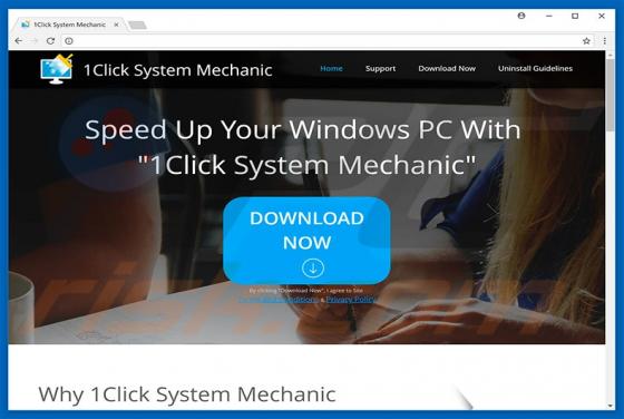 1Click System Mechanic Unwanted Application