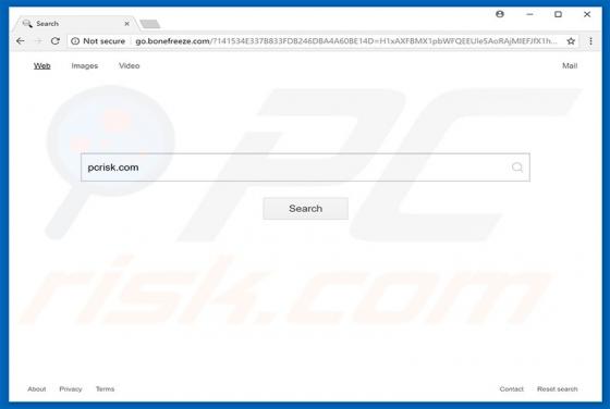 Go.bonefreeze.com Redirect