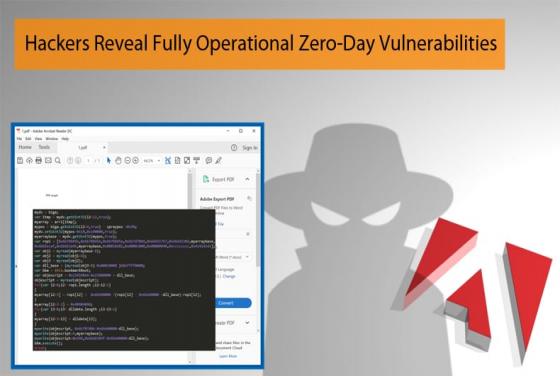 Hackers Reveal Fully Operational Zero-Day Vulnerabilities