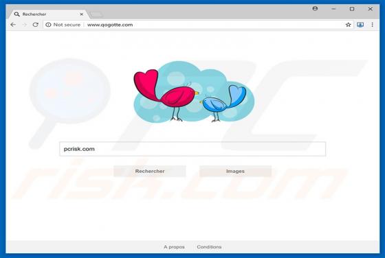 Qogotte.com Redirect